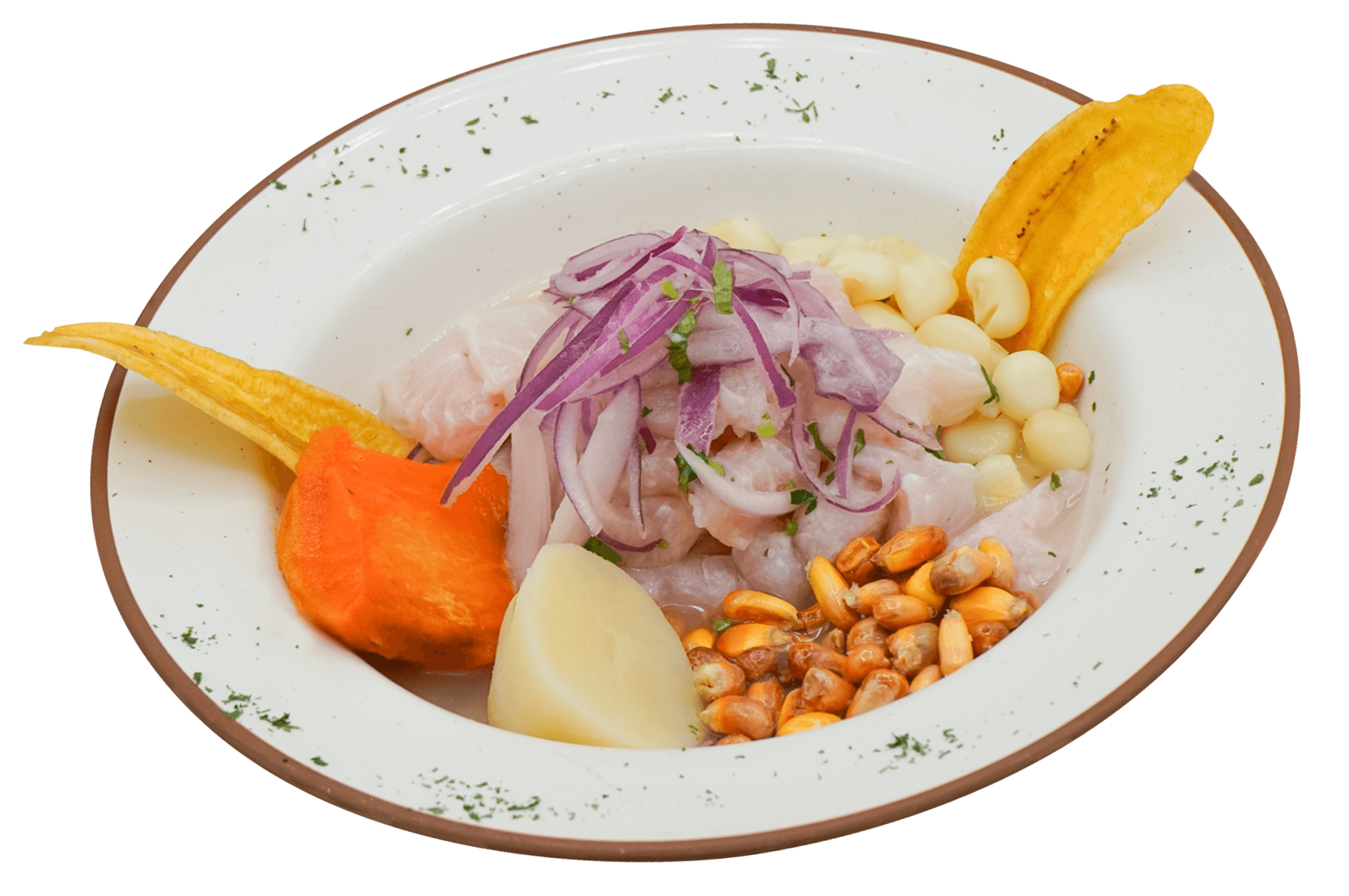 Mixed ceviche